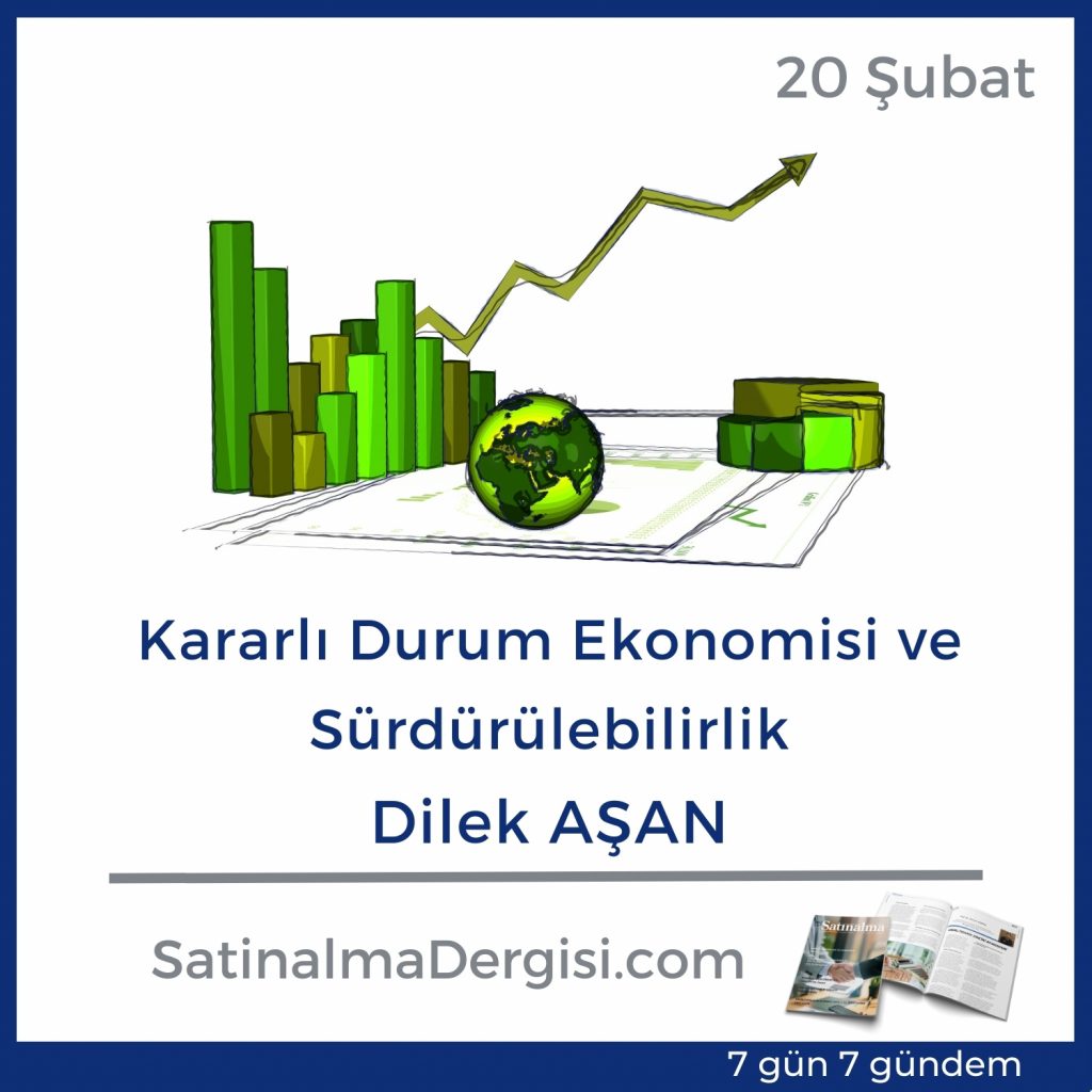 Kararlı Durum Ekonomisi Ve Sürdürülebilirlik | Satınalma Dergisi