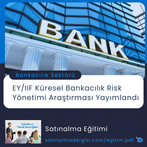 Satınalma Eğitimi Ey:iif Küresel Bankacılık Risk Yönetimi Araştırması Yayımlandı