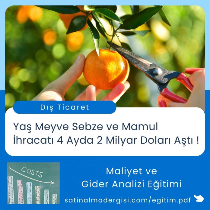 Satınalma Eğitimi Yaş Meyve Sebze Ve Mamul İhracatı 4 Ayda 2 Milyar Doları Aştı !