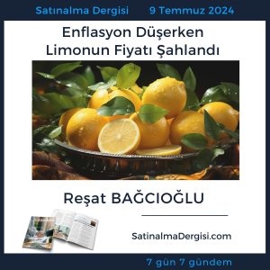 Satınalma Dergisi 7 Gün 7 Gündem Enflasyon Düşerken Limonun Fiyatı şahlandı