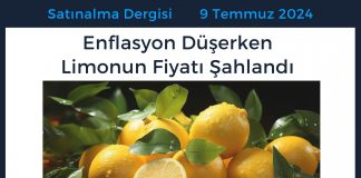 Satınalma Dergisi 7 Gün 7 Gündem Enflasyon Düşerken Limonun Fiyatı şahlandı