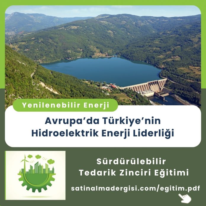 Satınalma Eğitimi Avrupa’da Türkiye’nin Hidroelektrik Enerji Liderliği