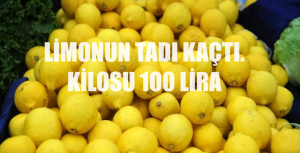 Limon Kilo Fiyatı Görseli