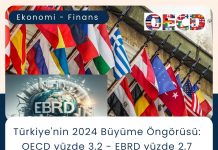 Tedarik Zinciri Danışmanlığı Haber Türkiye'nin 2024 Büyüme öngörüsü