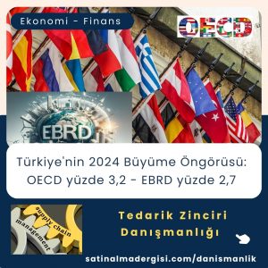 Tedarik Zinciri Danışmanlığı Haber Türkiye'nin 2024 Büyüme öngörüsü