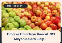 Yapay Zeka Ve Tedarik Zinciri Uygulamaları Eğitimi Elma Ve Elma Suyu İhracatı 321 Milyon Dolara Ulaştı