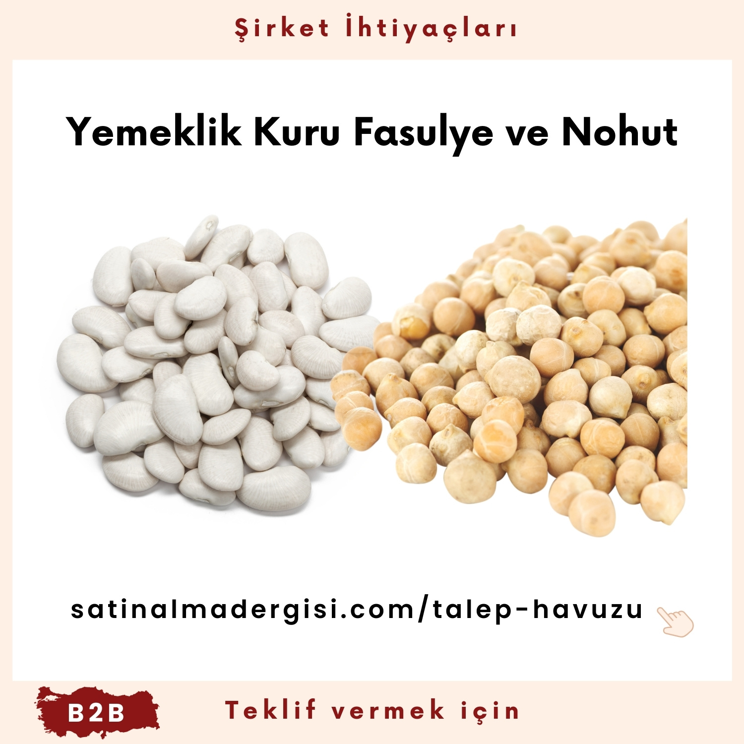 Alım Talebi Yemeklik Kuru Fasulye Ve Nohut