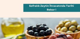 Satınalma Eğitimleri Sofralık Zeytin İhracatında Tarihi Rekor