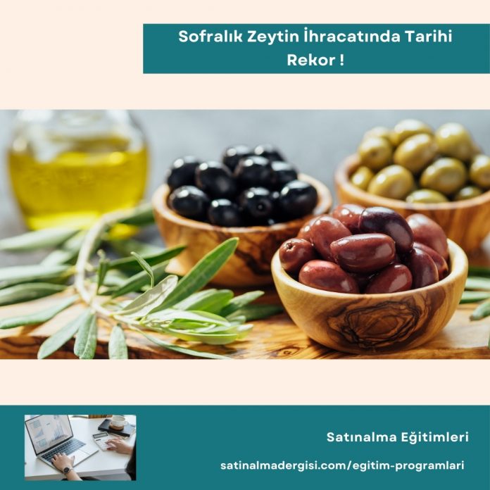 Satınalma Eğitimleri Sofralık Zeytin İhracatında Tarihi Rekor