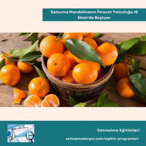 Satınalma Eğitimleri Satsuma Mandalinanın İhracat Yolculuğu 18 Ekim’de Başlıyor3