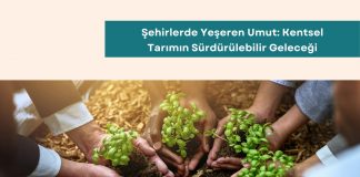 Sürdürülebilir Tedarik Zinciri Eğitimi Şehirlerde Yeşeren Umut Kentsel Tarımın Sürdürülebilir Geleceği