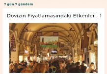 Dövizin Fiyatlamasındaki Etkenler 1 Satınalma Dergisi 7 Gün 7 Gündem