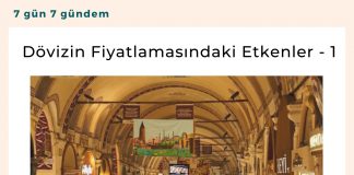 Dövizin Fiyatlamasındaki Etkenler 1 Satınalma Dergisi 7 Gün 7 Gündem