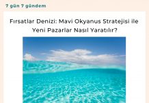 Fırsatlar Denizi Mavi Okyanus Stratejisi Ile Yeni Pazarlar Nasıl Yaratılır Satınalma Dergisi 7 Gün 7 Gündem