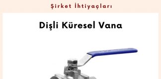 Alım Talebi Dişli Küresel Vana