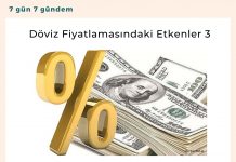 Döviz Fiyatlamasındaki Etkenler 3 Satınalma Dergisi 7 Gün 7 Gündem