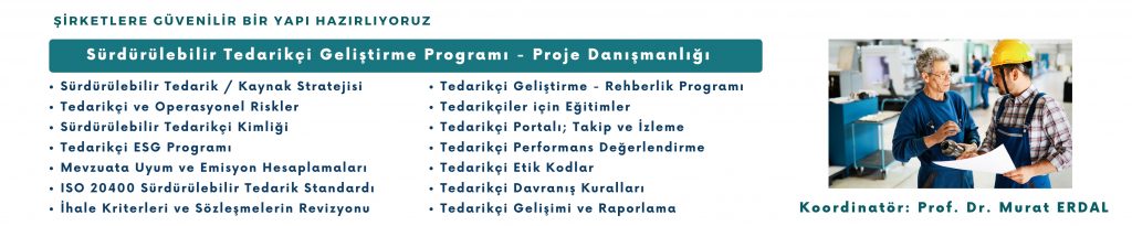 Sürdürülebilir Tedarikçi Geliştirme Programı - Proje Danışmanlığı