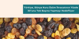 Tedarikçi Performans Değerlendirme Eğitimi Haber Türkiye, Dünya Kuru üzüm İhracatının Yüzde 30’unu Tek Başına Yapmayı Hedefliyor