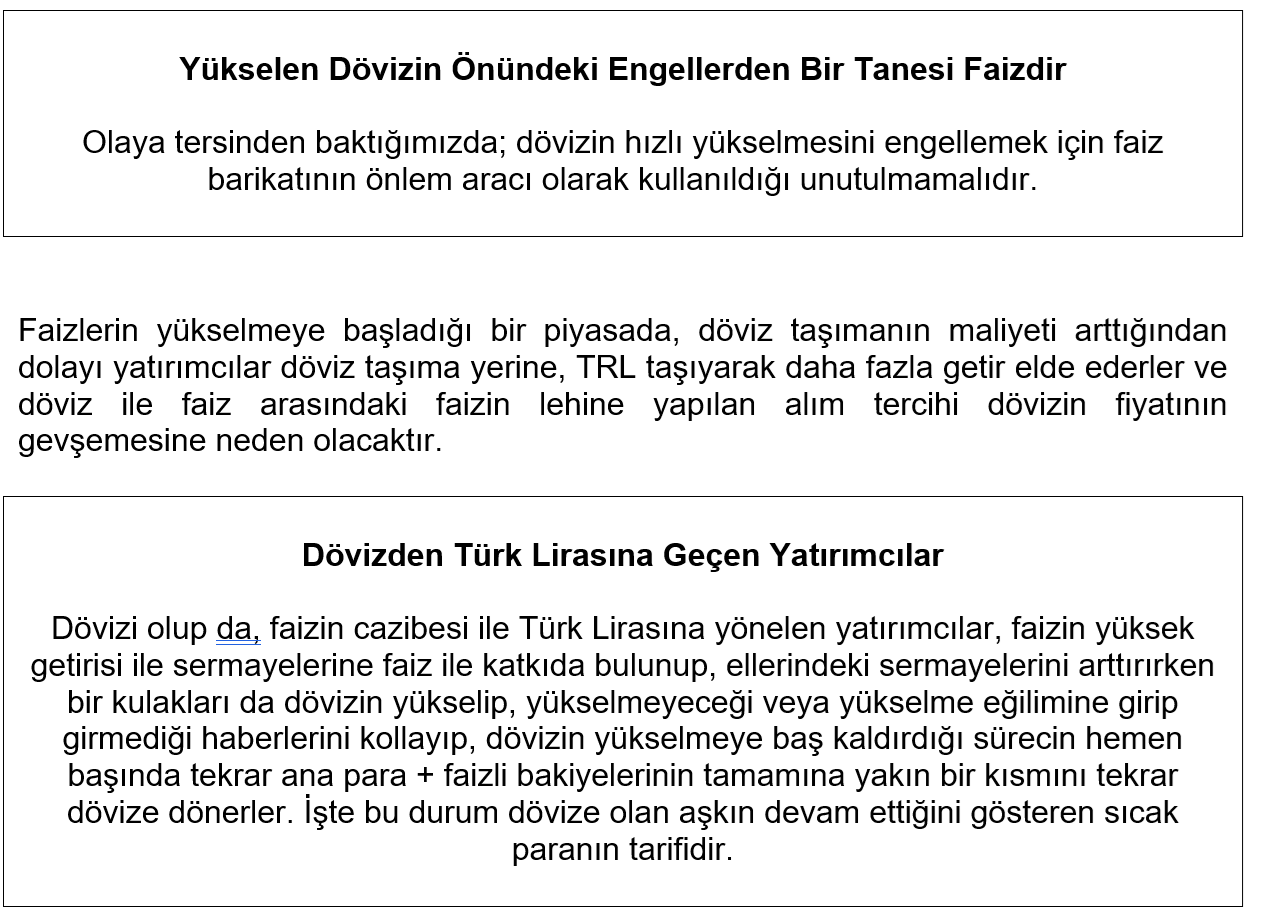 Yükselen Döviz Türk Lirası