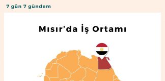 Mısır’da İş Ortamı