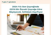 2024 Yılı Son çeyreğinde Gsyh Bir önceki çeyreğe Göre Büyüyecek, İstihdam Zayıflıyor