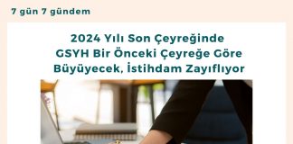 2024 Yılı Son çeyreğinde Gsyh Bir önceki çeyreğe Göre Büyüyecek, İstihdam Zayıflıyor