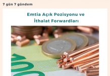 Emtia Açık Pozisyonu Ve İthalat Forwardları