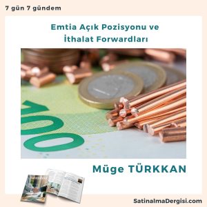 Emtia Açık Pozisyonu Ve İthalat Forwardları