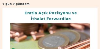 Emtia Açık Pozisyonu Ve İthalat Forwardları