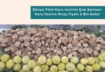 Iso 20400 Sürdürülebilir Tedarik Eğitimi Haber Dünya Türk Kuru İncirini çok Seviyor Kuru İncirin İhraç Fiyatı 6 Bin Dolar Bandında