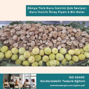 Iso 20400 Sürdürülebilir Tedarik Eğitimi Haber Dünya Türk Kuru İncirini çok Seviyor Kuru İncirin İhraç Fiyatı 6 Bin Dolar Bandında