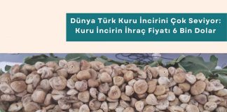 Iso 20400 Sürdürülebilir Tedarik Eğitimi Haber Dünya Türk Kuru İncirini çok Seviyor Kuru İncirin İhraç Fiyatı 6 Bin Dolar Bandında