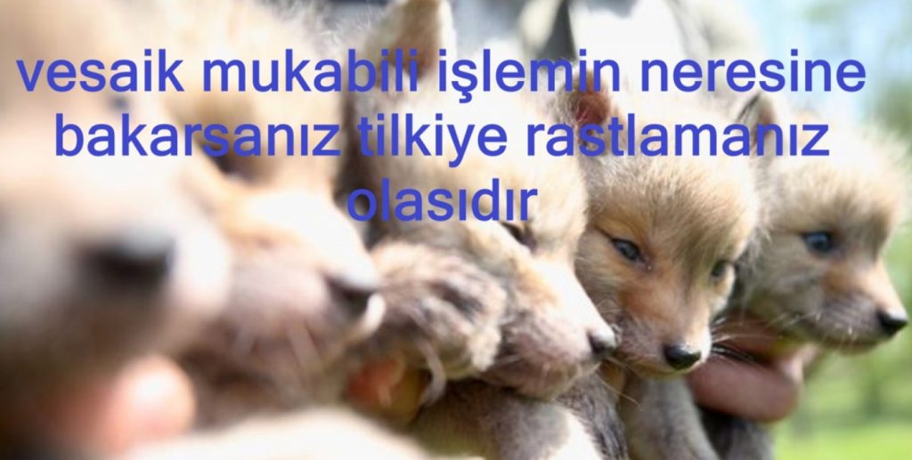 Vesaik Mukabili Tilki