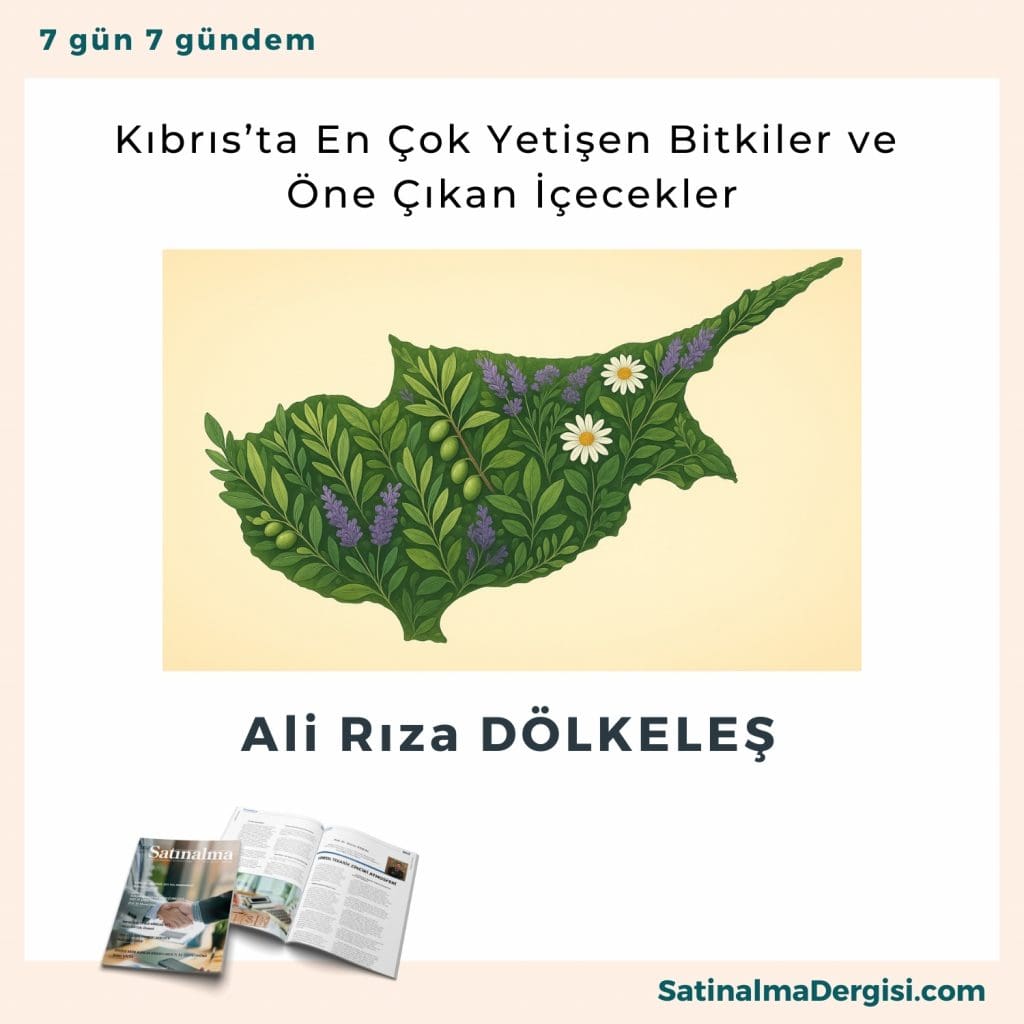 Kıbrıs’ta En çok Yetişen Bitkiler Ve öne çıkan İçecekler Satınalma Dergisi 7 Gün 7 Gündem