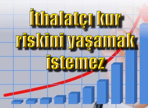 Ithalatçı Kur Riski