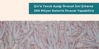 Sürdürülebilir Tedarik Zinciri Ve Yeşil Satınalma Eğitimi Haber çin’e Tavuk Ayağı İhracat İzni çıkarsa 200 Milyon Dolarlık İhracat Yapabiliriz