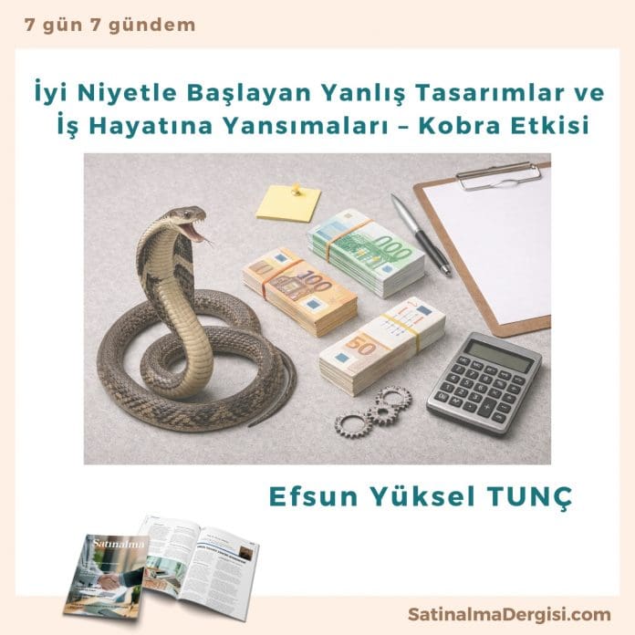 İyi Niyetle Başlayan Yanlış Tasarımlar Ve İş Hayatına Yansımaları – Kobra Etkisi Satınalma Dergisi 7 Gün 7 Gündem