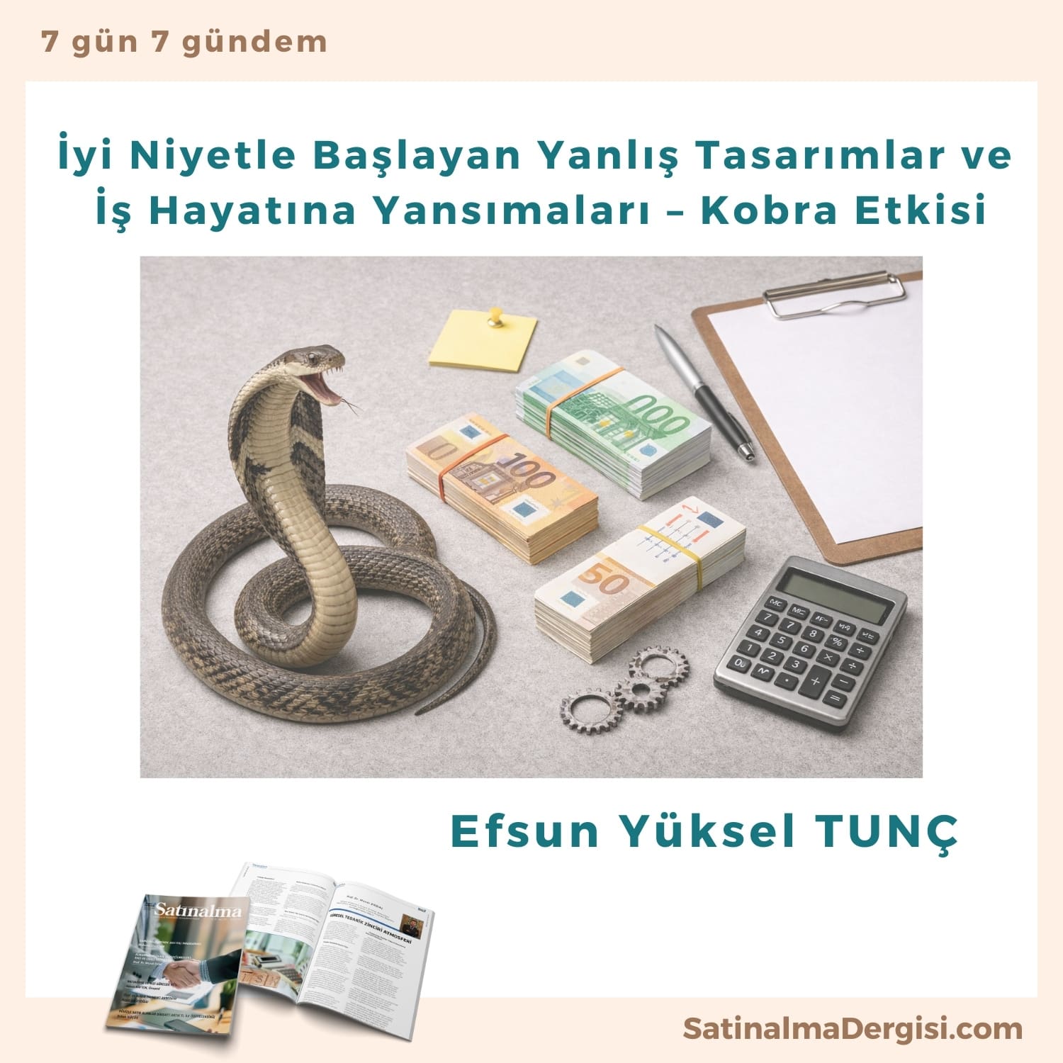 İyi Niyetle Başlayan Yanlış Tasarımlar Ve İş Hayatına Yansımaları – Kobra Etkisi Satınalma Dergisi 7 Gün 7 Gündem