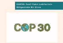Sürdürülebilir Tedarik Zinciri Ve Yeşil Satınalma Eğitimi Haber Cop30 Fosil Yakıt Lobilerinin Gölgesinde Bir Zirve
