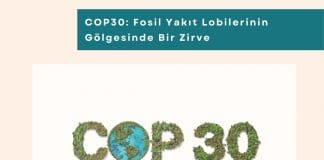 Sürdürülebilir Tedarik Zinciri Ve Yeşil Satınalma Eğitimi Haber Cop30 Fosil Yakıt Lobilerinin Gölgesinde Bir Zirve