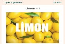 Limon – 1 Satınalma Dergisi 7 Gün 7 Gündem