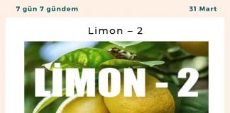 Limon – 2 Satınalma Dergisi 7 Gün 7 Gündem