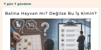 Balina Hayvan Mı Değilse Bu İş Kimin Satınalma Dergisi 7 Gün 7 Gündem