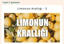 Limonun Krallığı 3 Satınalma Dergisi 7 Gün 7 Gündem