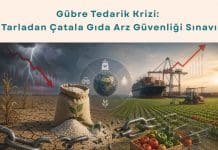Tedarik Zinciri Danışmanlığı Haber Gübre Tedarik Krizi