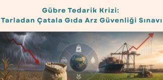 Tedarik Zinciri Danışmanlığı Haber Gübre Tedarik Krizi