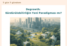 Degrowth Sürdürülebilirliğin Yeni Paradigması Mı