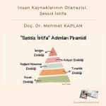 İnsan Kaynaklarının ötanazisi Sessiz İstifa Satınalma Dergisi 7 Gün 7 Gündem