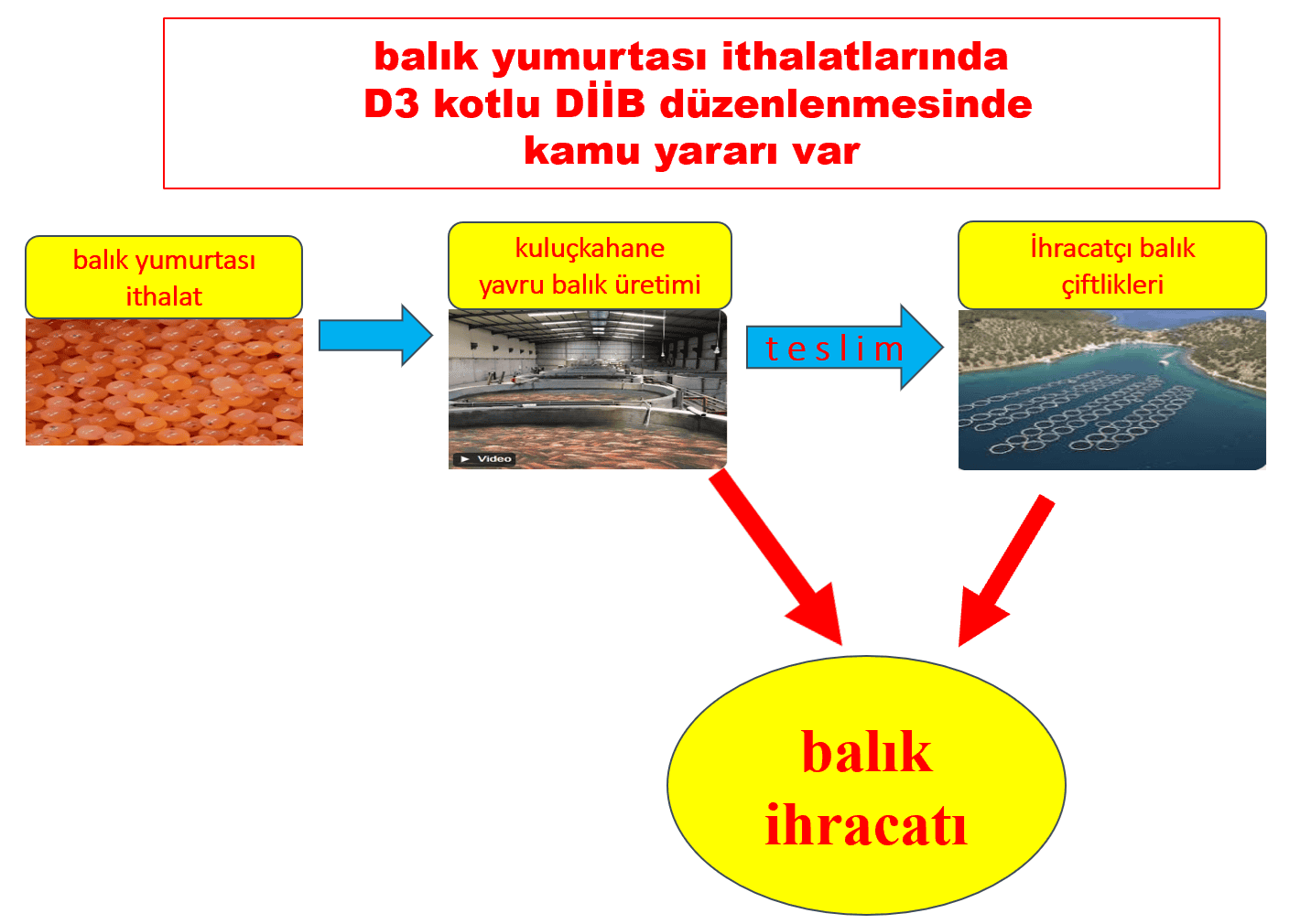 Balık Yumurtası