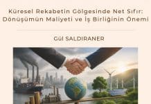 Küresel Rekabetin Gölgesinde Net Sıfır Dönüşümün Maliyeti Ve İş Birliğinin önemi